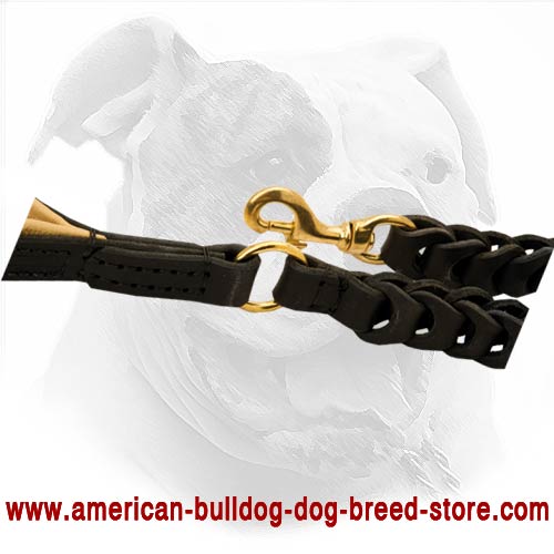 Secure snap hook for reliable use of American Bulldog leash