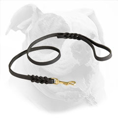 Braided Leather Leash with Brass Hardware
