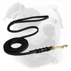 Braided Leather Leash with Brass Hardware