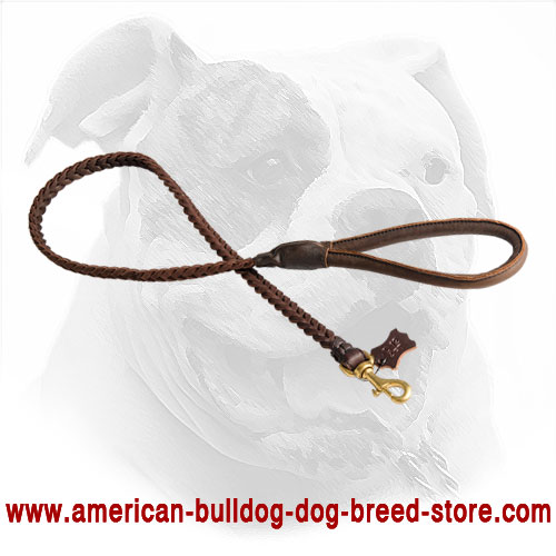 American Bulldog Leash Made of Leather