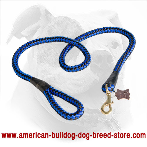 Cord Nylon American Bulldog Leash with Strong Fittings