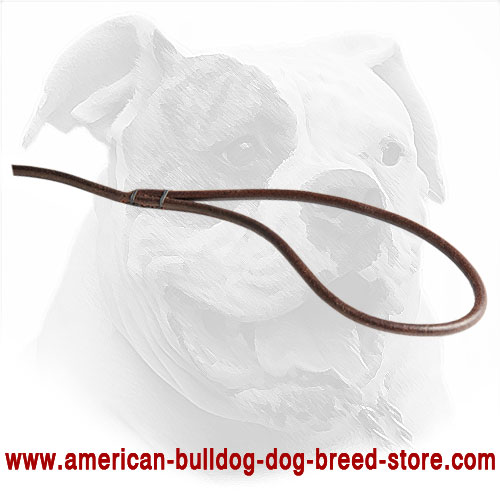 Round Leather American Bulldog Leash