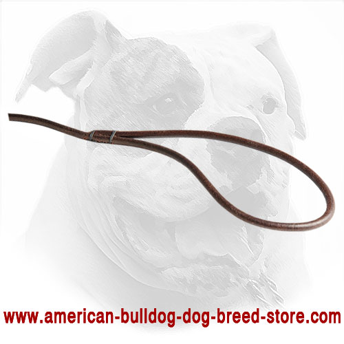 Round Leather American Bulldog Leash