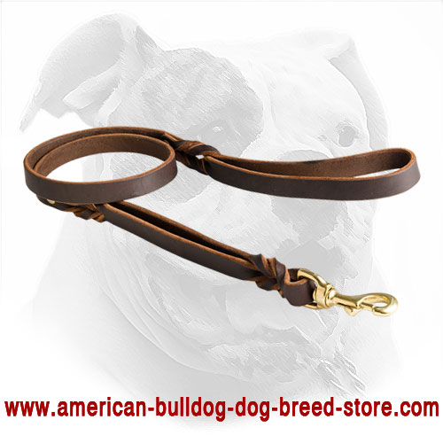 American Bulldog Leash Made of Leather