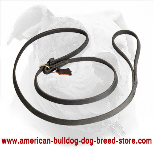 Leather Leash with Choke Collar for American Bulldog 