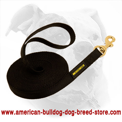 American Bulldog Leash Made of Nylon