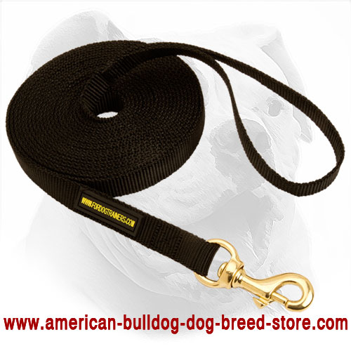 Nylon American Bulldog Leash