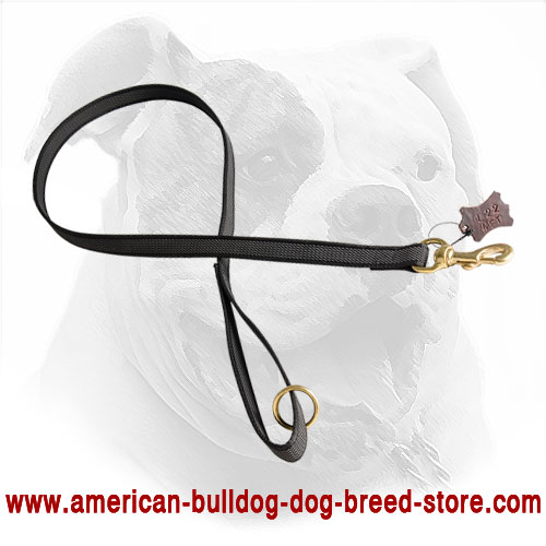 Nylon American Bulldog Leash