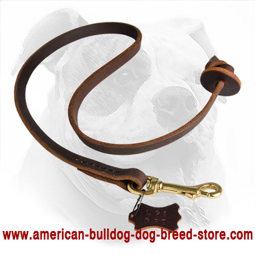 Stitched Leather American Bulldog Leash