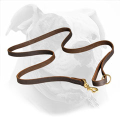 Strong American Bulldog Leather Leash