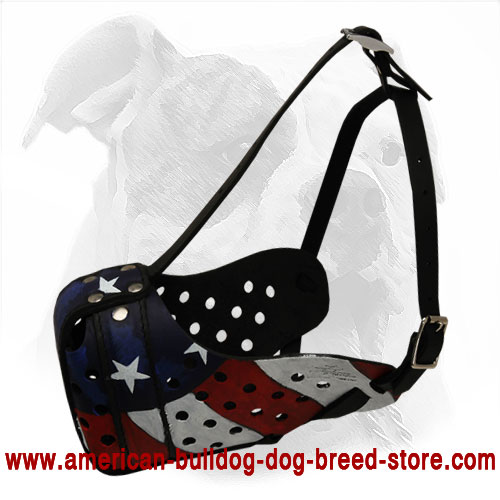 Leather American Bulldog Muzzle