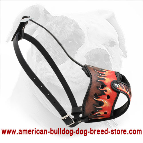 Leather American Bulldog Muzzle