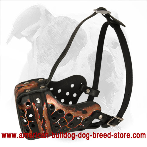 Leather American Bulldog Muzzle