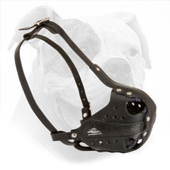 American Bulldog Muzzle for Attack Training