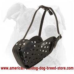 Good muzzle for training American Bulldog