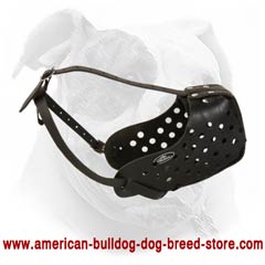 Adjust easily this muzzle on your Bulldog