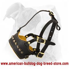 Free breathing and panting Bulldog muzzle