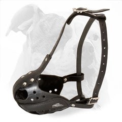 High Quality Leather Agitation Muzzle for American Bulldog