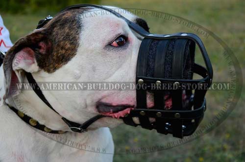 Bulldog strong training muzzle
