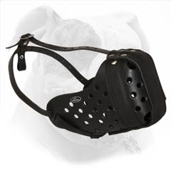 Pick up garbage protection leather muzzle