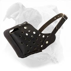 Special agitation training muzzle