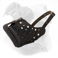 best leather muzzle