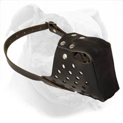 High quality leather attack training muzzle