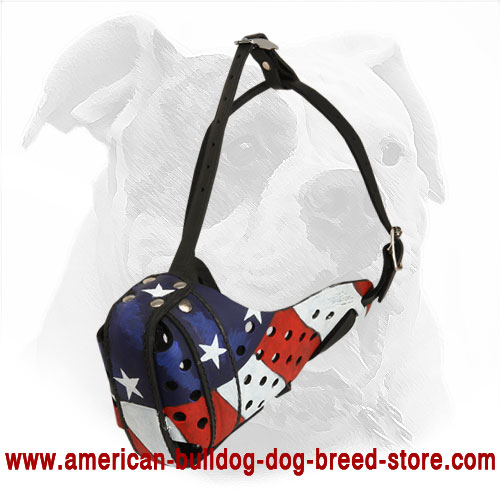 Training Leather American Bulldog Muzzle