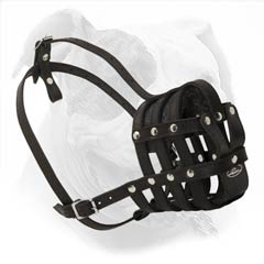 Soft leather basket muzzle for Bulldog's better comfort