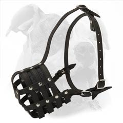 Maximally comfortable muzzle for your Bully
