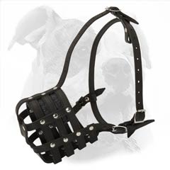 best dog muzzle