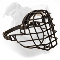 Wire cage dog muzzle for American Bulldog